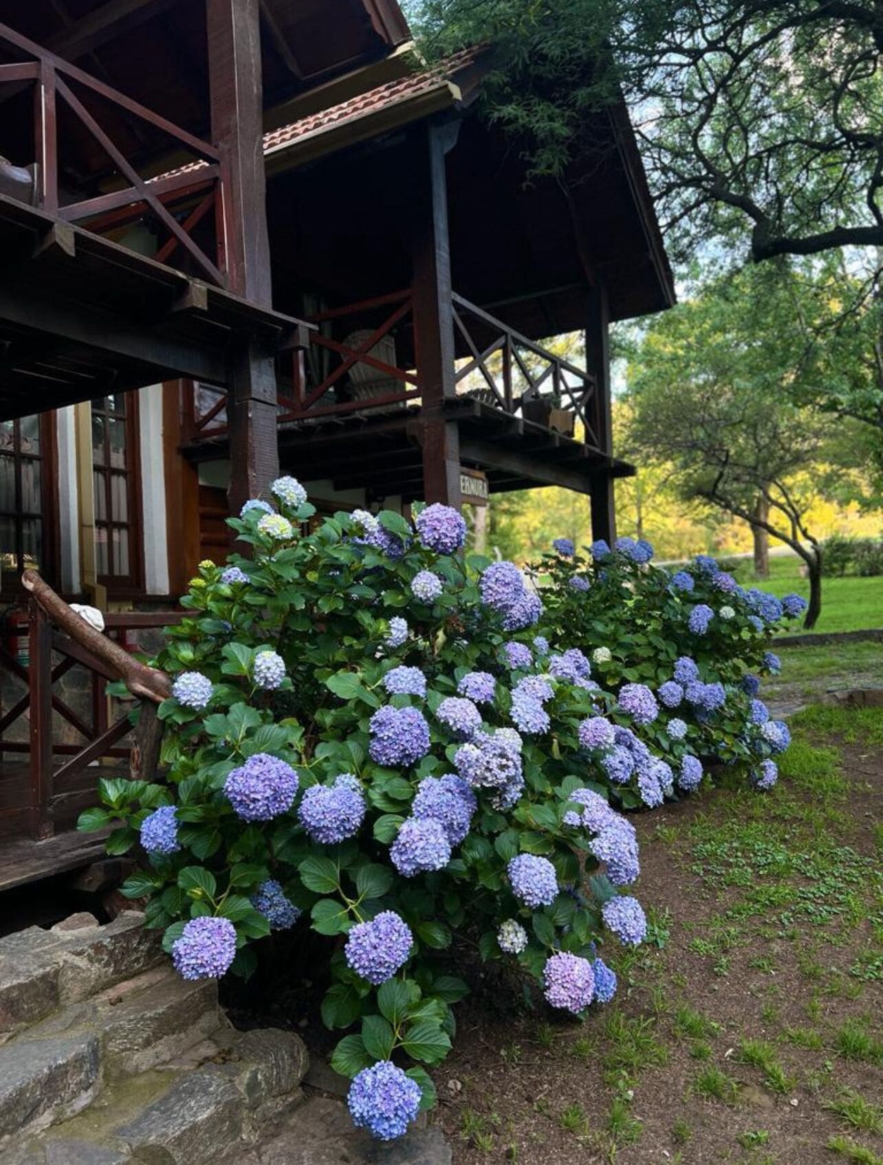 Chambre Double Classique, vue montagne | Coffres-forts dans les chambres, décoration personnalisée, bureau