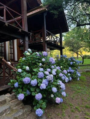 經典雙人房, 山景 | 房內夾萬、獨特設計、書桌、手提電腦工作空間