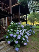 Classic dubbelrum - utsikt mot bergen | Värdeförvaringsskåp på rummet, individuell inredning och skrivbord