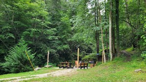 Een bebost gebied met picknicktafels en een barbecue, omringd door dichte bomen en een onverhard pad.