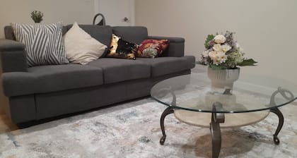 Furnished basement with seperate entrance ,living room,washroom and kitchenette