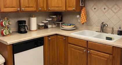 Charming 3-bedroom house with a large backyard in Tampa