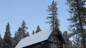 A cabin with a wooden deck and a snow-covered roof, surrounded by tall pine trees. - Modern Alpine Cabin in Twin Lakes (Twin Lakes)