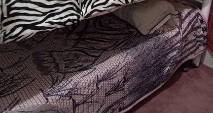 Lovely apartment with WiFi in Ciudad de México