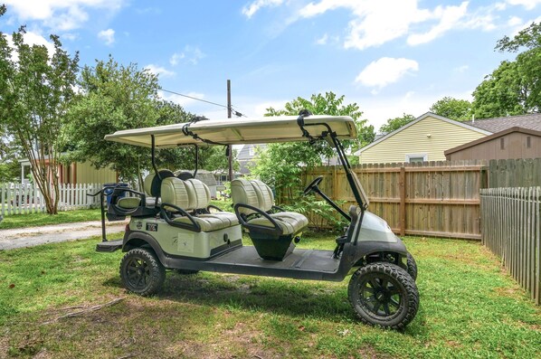 A golf cart with two seats and a canopy, parked in a grassy yard with a wooden fence and a house in the background.