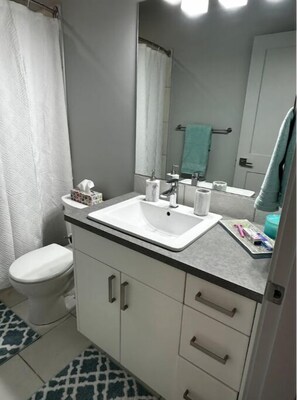 Hair dryer, towels, soap, toilet paper
