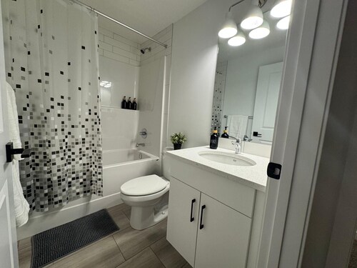 New Cozy 2 BR suite w/ king bed