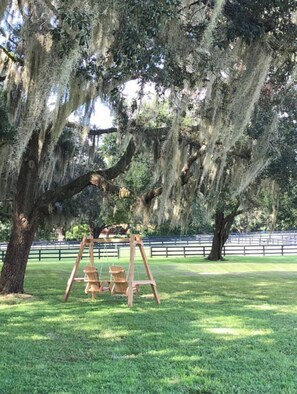 Unclassified image, 5 of 13, button