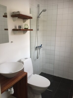 A bathroom with a white toilet, a white sink, a shower with a handheld showerhead, and a mirror above the sink.