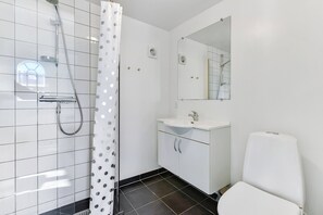 Un baño con ducha, inodoro, lavabo y espejo.