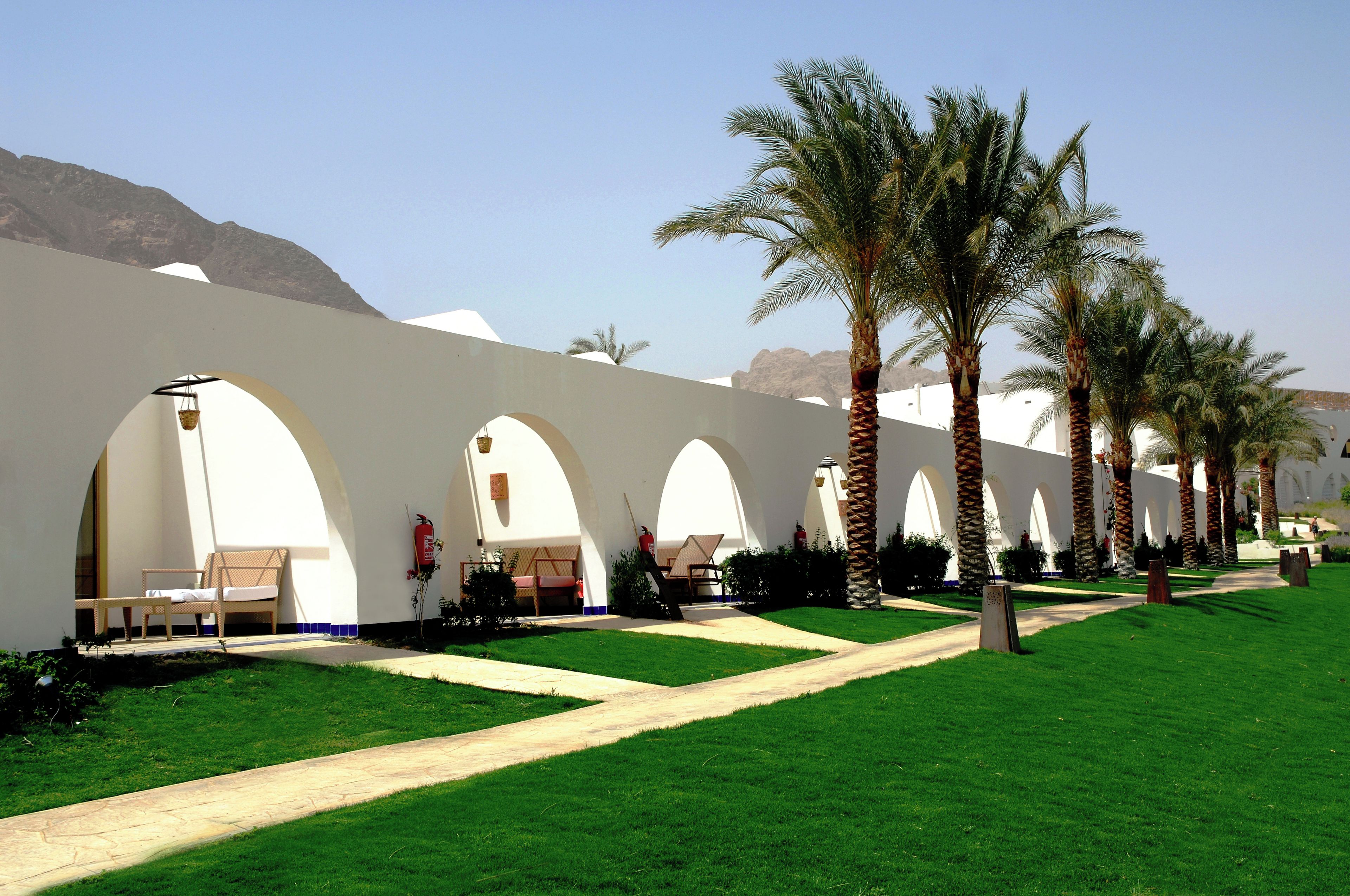 A hotel corridor with white arches, palm trees, and a clear sky.