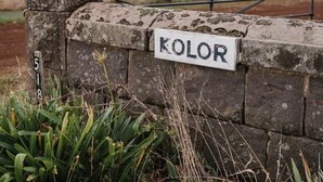 A stone wall with a sign reading "KOLOR" and a metal gate.