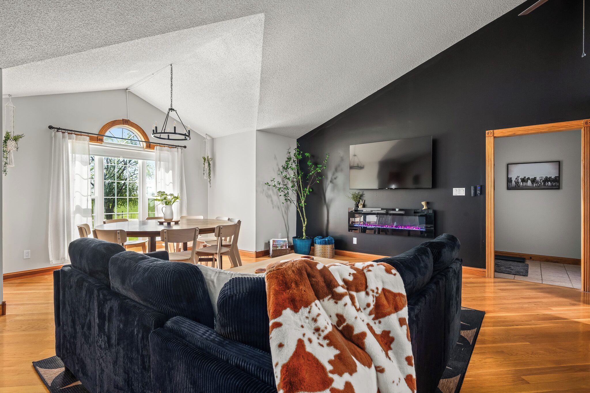 Smart TV, fireplace, books, music library