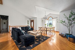 Smart-TV, Kamin, Bücher, Musikbibliothek