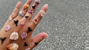 Una mano con conchas marinas y dientes de tiburón en los dedos, sobre una playa con olas y un atardecer de fondo.