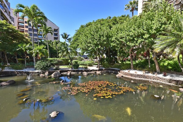 Huoneisto | 2 makuuhuonetta, internet