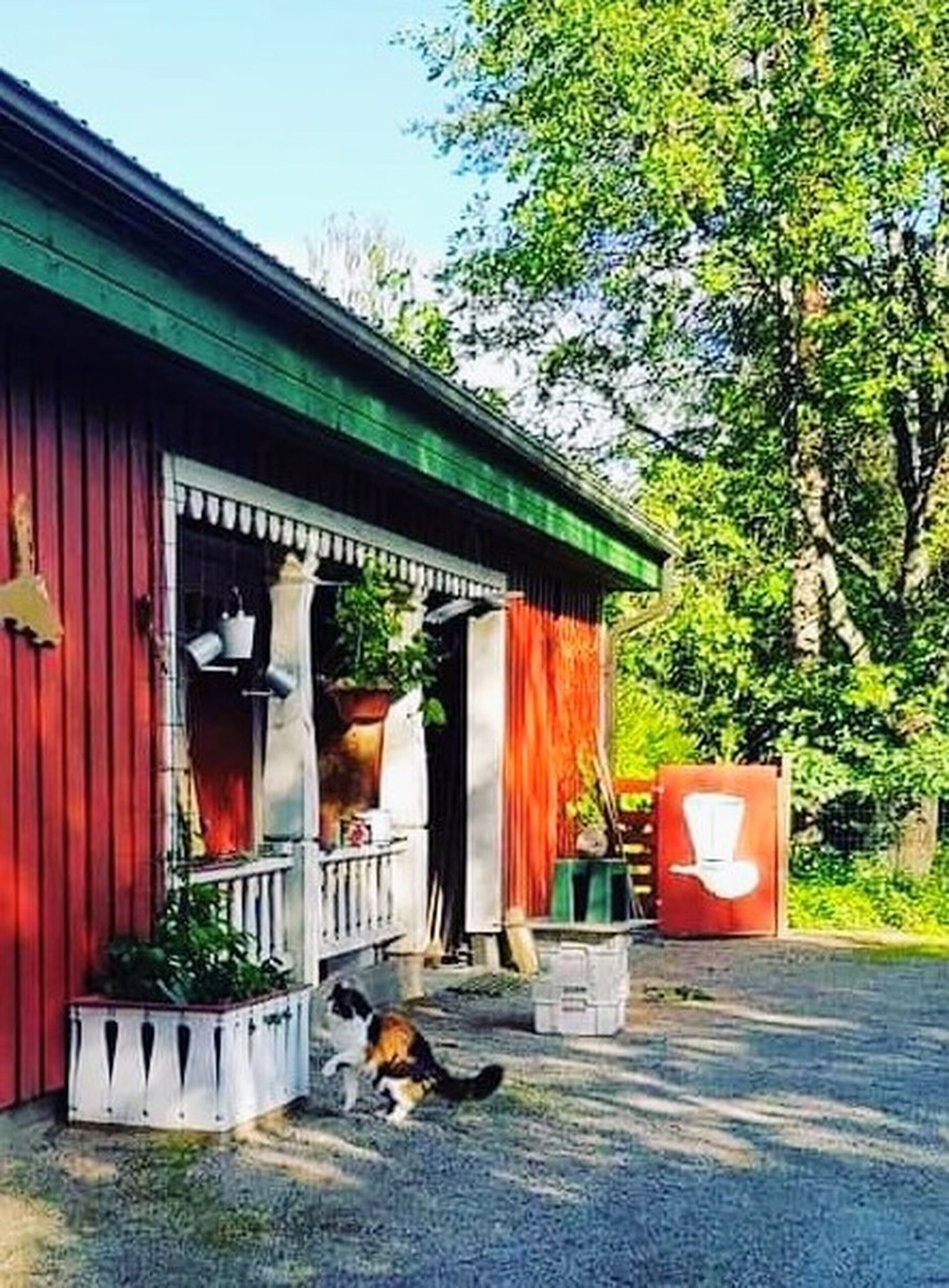 Um edifício vermelho com telhado verde, varanda com plantas em vasos e um gato caminhando na frente.