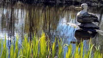 A bird standing on a rock by a calm body of water with surrounding greenery.