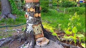 Área da propriedade