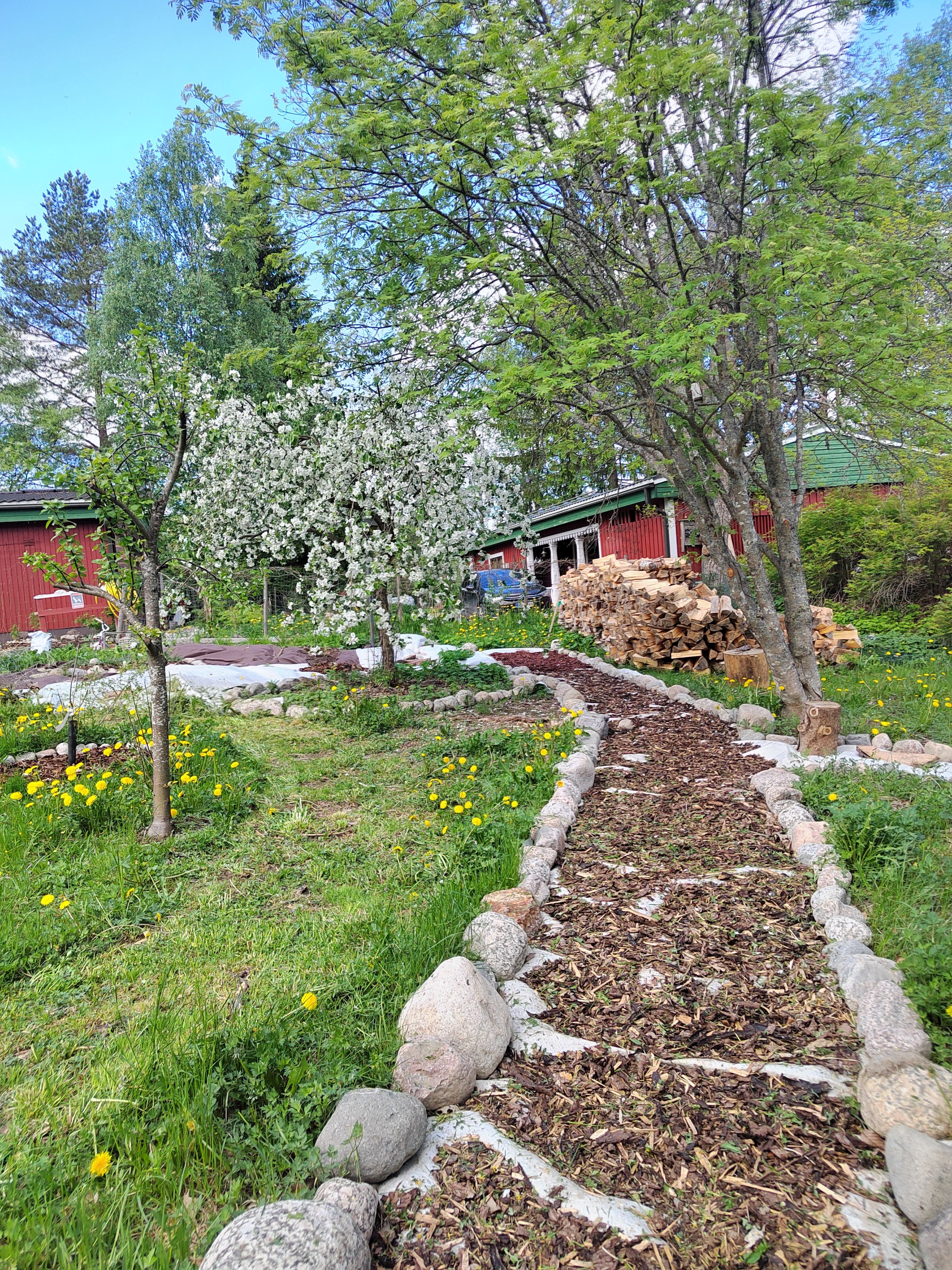 A garden with a stone pathway, flowering trees, and a red building in the background.