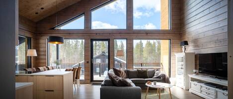 Télévision, cheminée, chaßne hi-fi