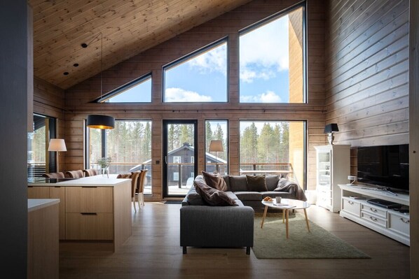 TV, fireplace, stereo