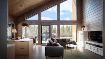 TV, fireplace, stereo