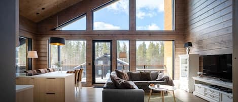 Télévision, cheminée, chaîne hi-fi