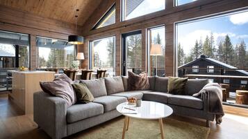 TV, fireplace, stereo