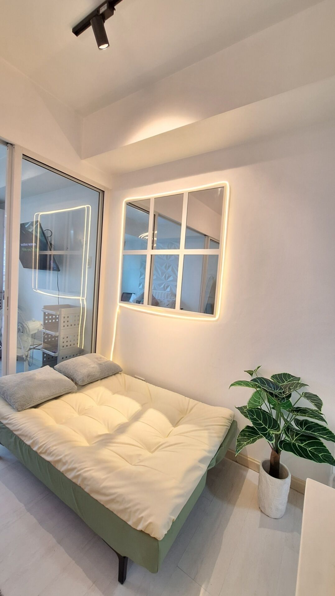 A modern bedroom with a bed, a potted plant, and a window with illuminated frames.
