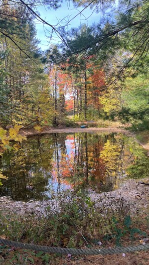 A serene pond surrounded by trees with autumn foliage, a bench, and a clear sky.