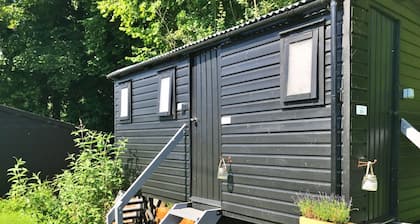 Adults-only Norfolk Bell Tent Stay, No Deposit