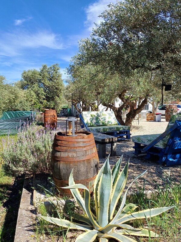 Jardines del alojamiento