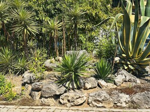 تفاصيل الفندق من الخارج