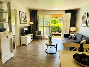 تلفزيون، مشغل دي في دي