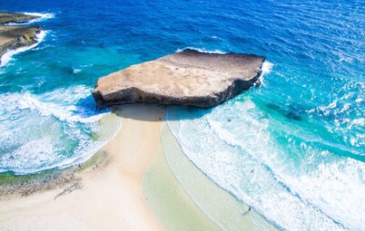 2 BR Oceanview Condo | Coral Shell 3e by Bocobay