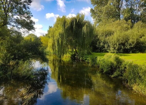 View from property - Luxury Bell Tent Escape Norfolk, No Deposit (Norwich)