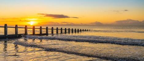 コテージ | 施設からの眺望