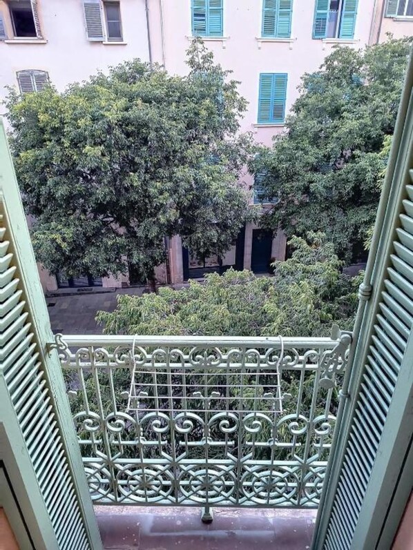 Property grounds - Provencal Market (Toulon)