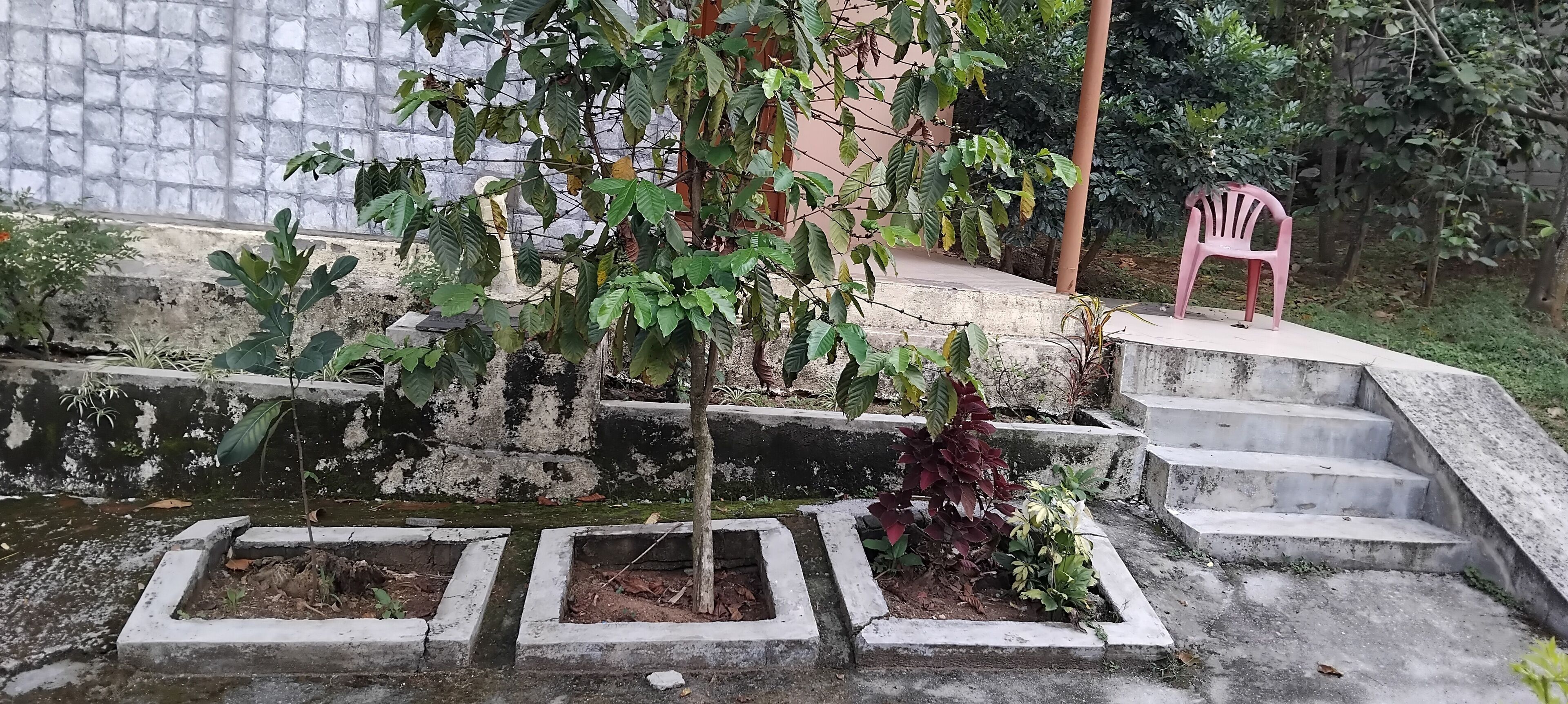 A garden with concrete planters, a staircase, and a pink plastic chair.