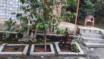 家庭平房 | 露台/庭院