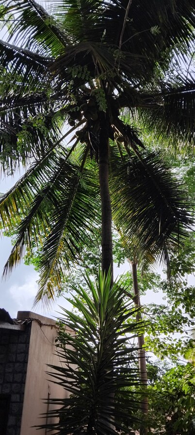 Pavanputra Resort Hassan