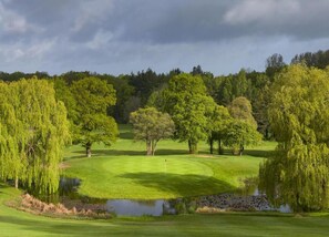 Chalet | View from property - Lodge in Soberton Near South Downs Riding (Southampton)