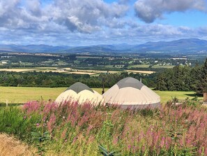 Chalet | Exterior - Romantic Chalet in Nature, No Deposit (Auchterarder)