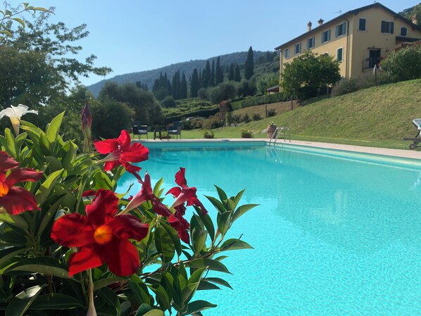 A swimming pool with clear blue water, surrounded by lush greenery and a hillside.