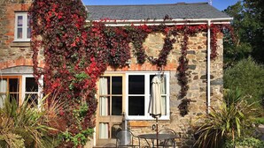 A stone building with ivy, a window with a curtain, and a table with chairs outside. - Cottage in Dartmoor With Countryside Views (Newton Abbot)