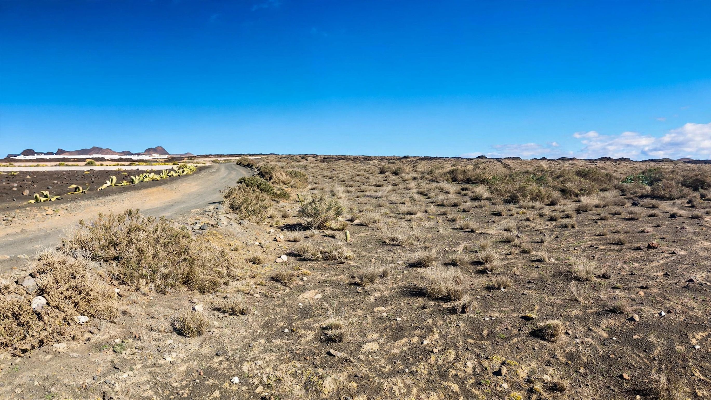 A desert landscape with a winding road, sparse vegetation, and distant mountains.