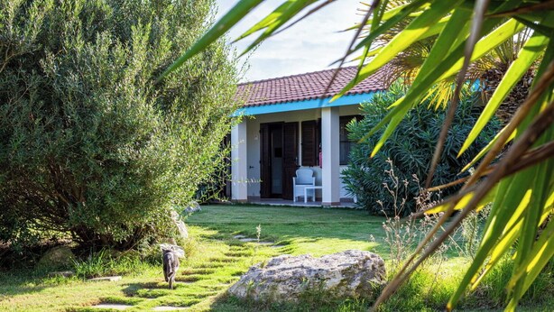 Ein Haus mit einem Ziegeldach, einer Veranda und einem Rasen mit einem Weg zum Eingang.