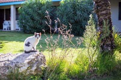 Agriturismo Is Cortillaris 