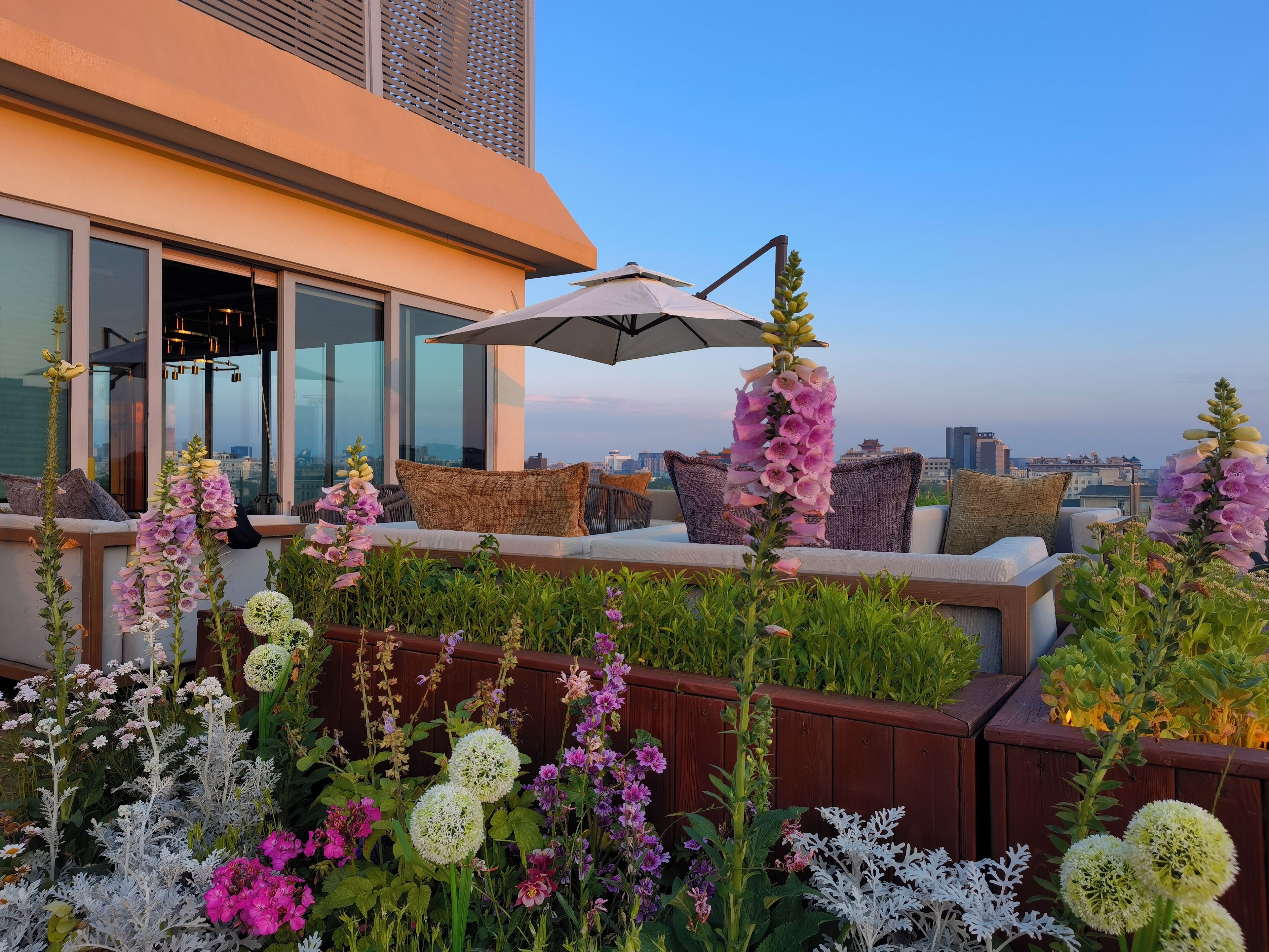 Photo - The Purple Horse Hotel Beijing
